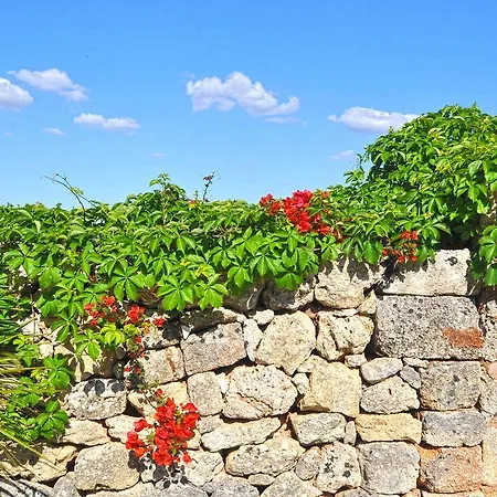 Masseria Del Ninfeo Affittacamere Alliste